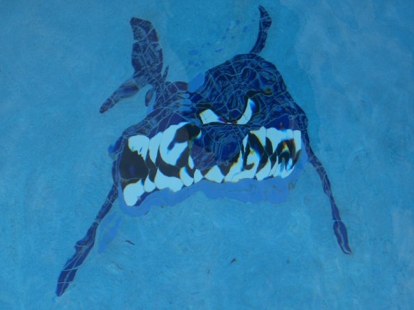 shark mosaic